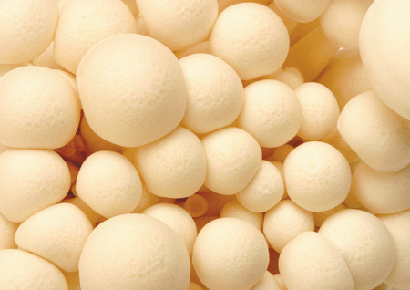 Close-up of mushrooms