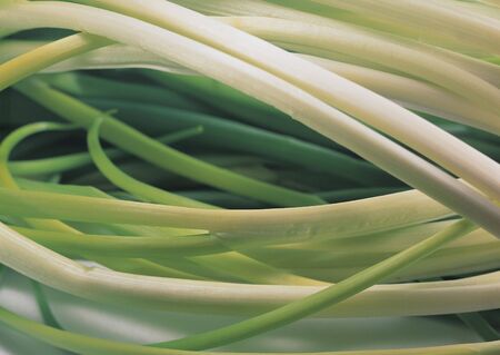 close-up of fresh vegetable stalks の写真素材