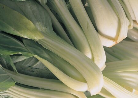 close-up of fresh vegetable stalks の写真素材