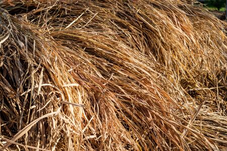 bale of straw in fieldの写真素材