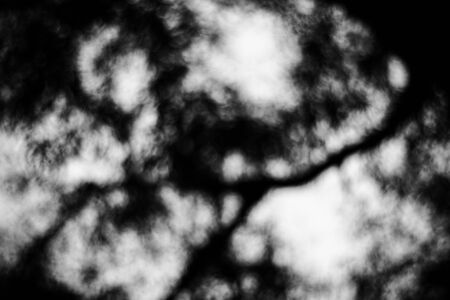 bokeh blur on black & white backgroundの写真素材