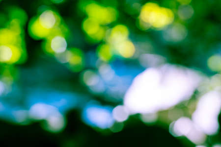 Abstract bokeh background from natureの写真素材