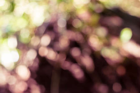 Abstract bokeh background from natureの写真素材