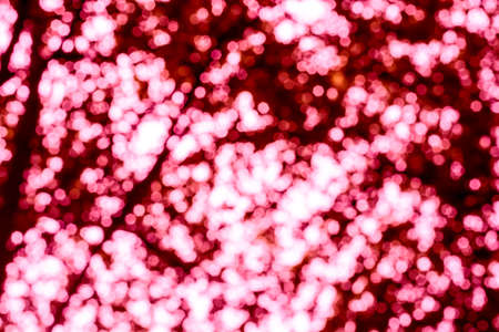 Abstract bokeh background from natureの写真素材