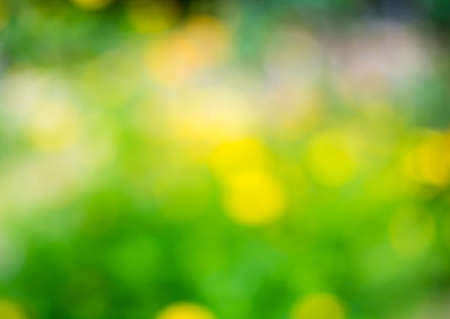 Abstract bokeh background from natureの写真素材