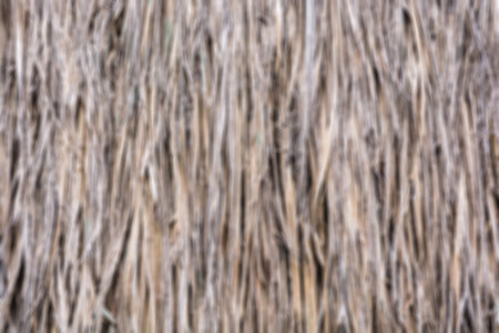 Field blur thatch roof backgroundの写真素材