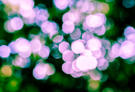 Abstract bokeh background from natureの写真素材