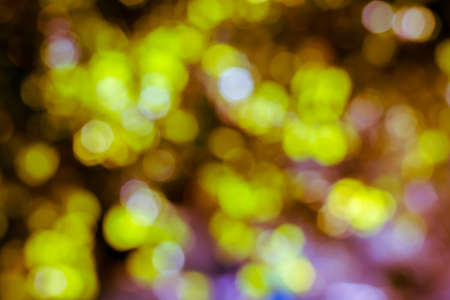Abstract bokeh background from nature