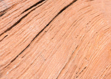 wood texture/wood texture background