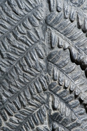 Leaf rock texture
