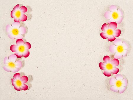 Sand paper with flowerの写真素材