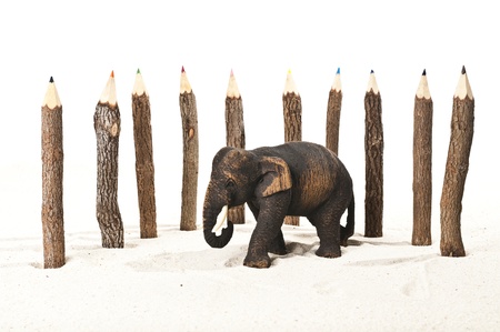Wooden elephant in the color pencil fence Awaiting validation.の写真素材