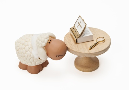 Sheep looks bible on tableの写真素材