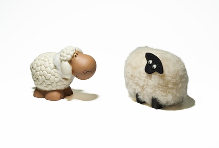 two sheeps look at each otherの写真素材
