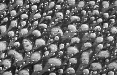 Water drop on wooden in black and white color