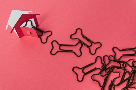 Bone shape paper clip on pink backgroundの写真素材
