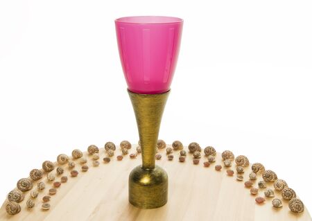 pink cup trophy with half circle of sea shellの写真素材