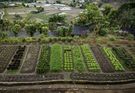 Small vegetable garden on the mountain