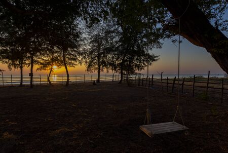 Empty swing hang on the tree near the beachの写真素材