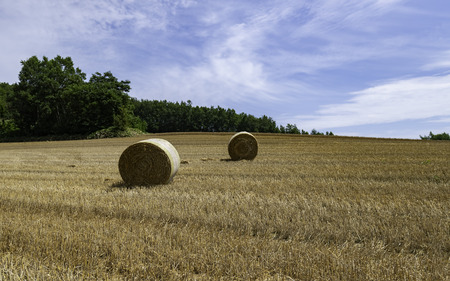 Two rolls of hay in brown field with green tree and blue skyの写真素材