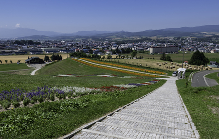 Long ladder down to ground with green grass and beautiful viewの写真素材