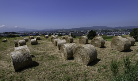 Many hays in the field with blue sky