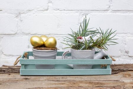 Golden Easter eggs in a grey ceramic bucket and grass in watering can in purist blue box on a wooden...