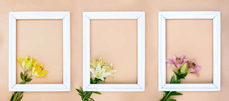Creative card with three fresh colored lilies and picture frames on pastel background. Trendy image with blossom om colored paper. Blooming minimalistic picture 2020. Horizontal, top view, copy spaceの写真素材