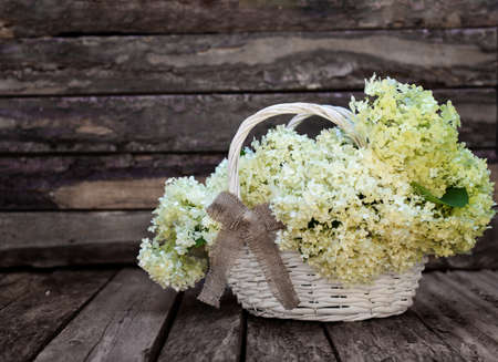 Composition with wicker basket of white hydrangea flowers and green leaves on old rustic wooden backgroundの写真素材