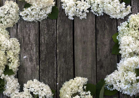 White hydrangea floral frame on dark wooden background. Top view, flat lay, copy spaceの写真素材