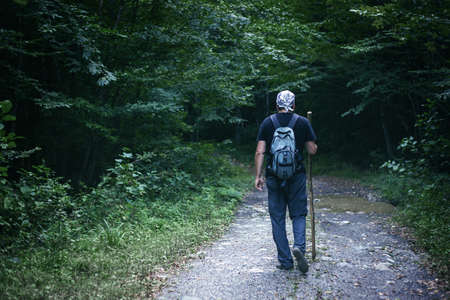 Man with hiking equipment walking in mouton forest
