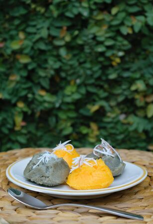 Sweet sugarpalm cake with scraped coconut with garden backgroundの写真素材