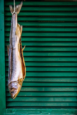 Dried fish hanging in front of the green windowの写真素材