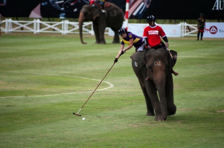 HUA HIN, THAILAND -SEPTEMBER 8  Unidentified polo players play in elephant polo games during the 2011 King  s Cup Elephant Polo match on September 8, 2011 at Suriyothai Camp in Hua Hin, Thailand のeditorial素材
