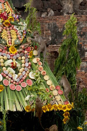 Monkeys enjoys the annual Monkey Buffet Festival at temple more than 2,000 kg of fruits and vegetables in Thailand の写真素材