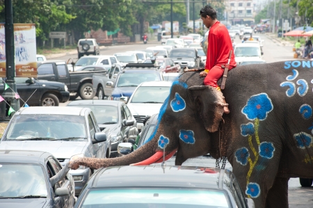 AYUTTAYA, THAILAND - APRIL-13   Songkran Festival is celebrated in a traditional New Year s Day from April 13 to 15, with the splashing water with elephants on April 13, 2012 in Ayuttaya, Thailand  のeditorial素材