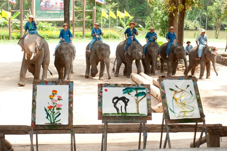 LAMPANG, THAILAND - MAY, 9  The mahout train elephant to stack the log They have show twice in day  In The Thai Elephant Conservation Center  TECC  at Lampang  May 9, 2012 in Lampang, Thailand  のeditorial素材
