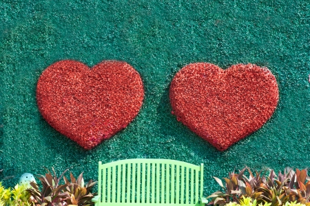 Twin red heart on green background の写真素材