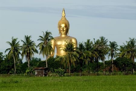 Big sitting Buddha between rice field の写真素材
