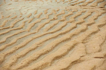 Sand texture on the beach 