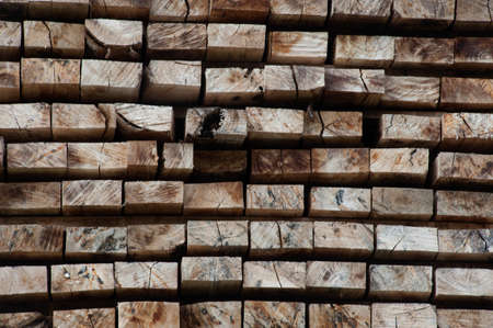 Pile wood texture  