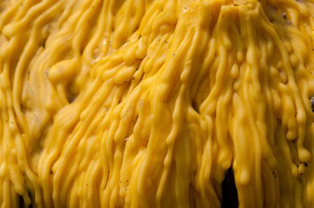 Tears of candle  の写真素材