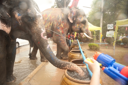 Elephant splashing water in Songkran festival のeditorial素材