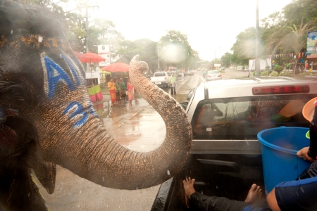 Elephant splashing water in Songkran festival のeditorial素材