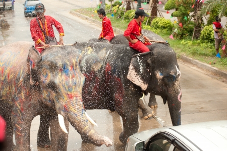 Elephant splashing water in Songkran festival のeditorial素材