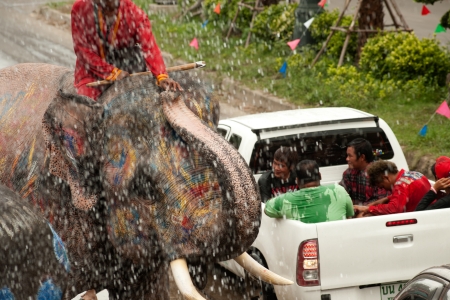 Elephant splashing water in Songkran festival のeditorial素材