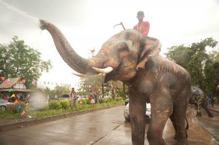 Elephant splashing water in Songkran festival のeditorial素材