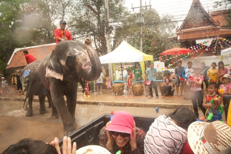 Elephant splashing water in Songkran festival のeditorial素材
