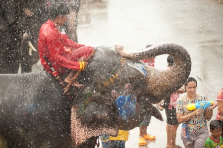 Elephant splashing water in Songkran festival のeditorial素材