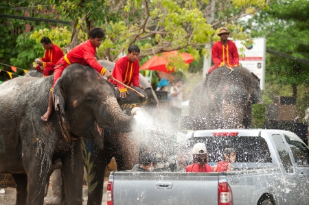 Elephant splashing water in Songkran festival のeditorial素材